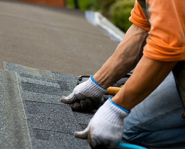 Best Roof Replacement Cost  in Salmon, ID